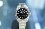 Copy Rolex Oyster Perpetual Watch Precision Steel Two Gold  Bezel Black Face 36mm 