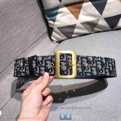 diorquake dior oblique belt